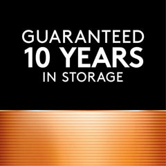 Duracell Ion Speed 1000-Battery-Charger for AA and AAA-batteries, Includes 4 Pre-Charged AA-