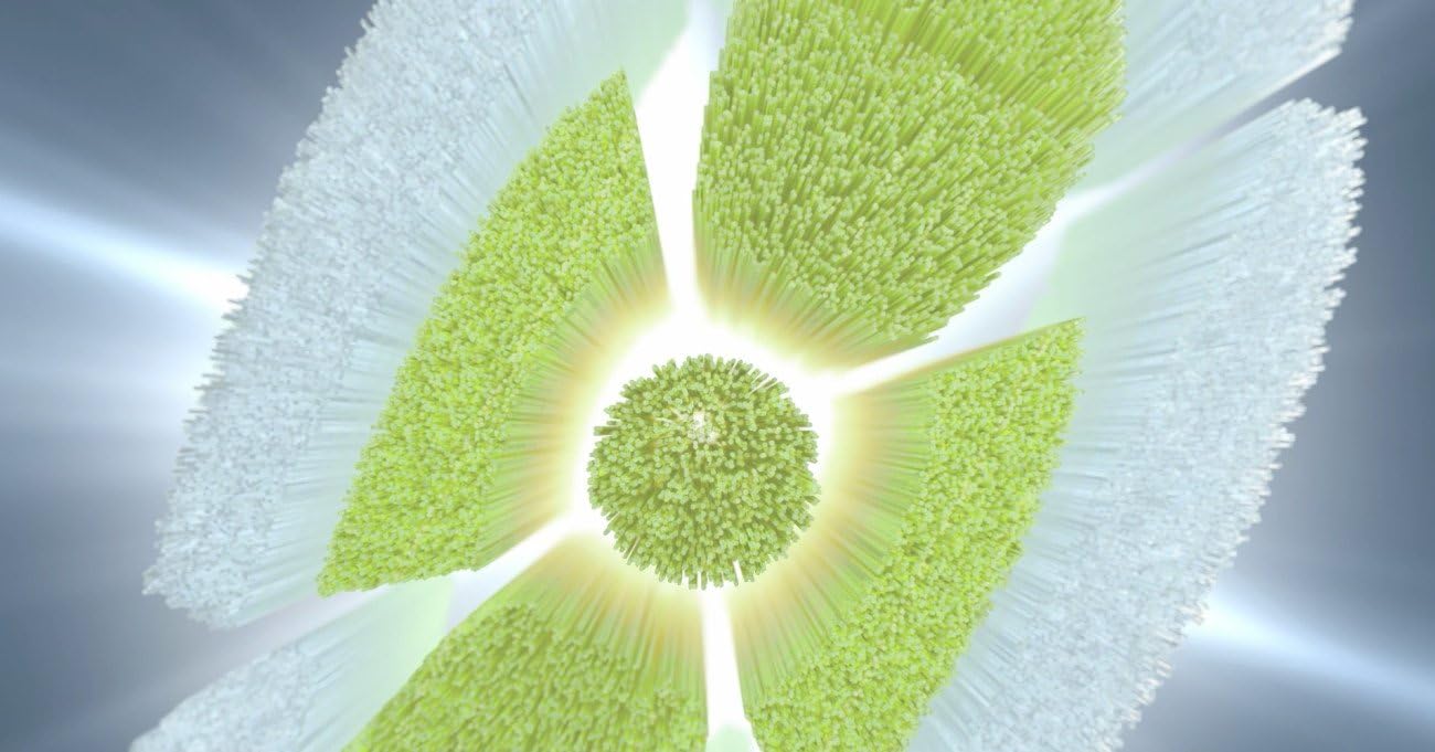 Philips Sonicare DiamondClean Replacement Toothbrush Heads, 4-Pack, White (HX6064/65)