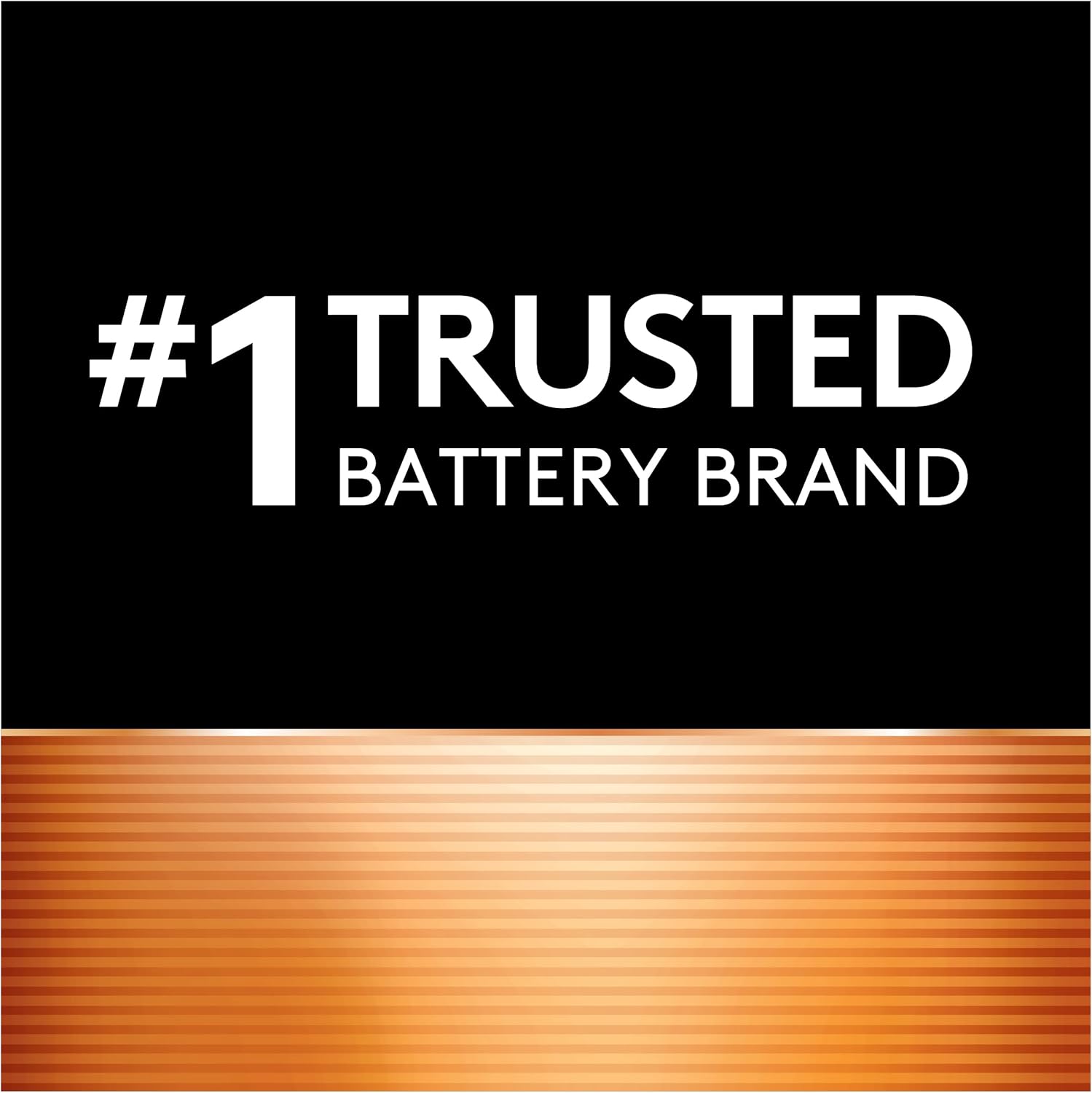 Duracell Coppertop AAA Batteries, 24 Count Long-Lasting Alkaline Triple A